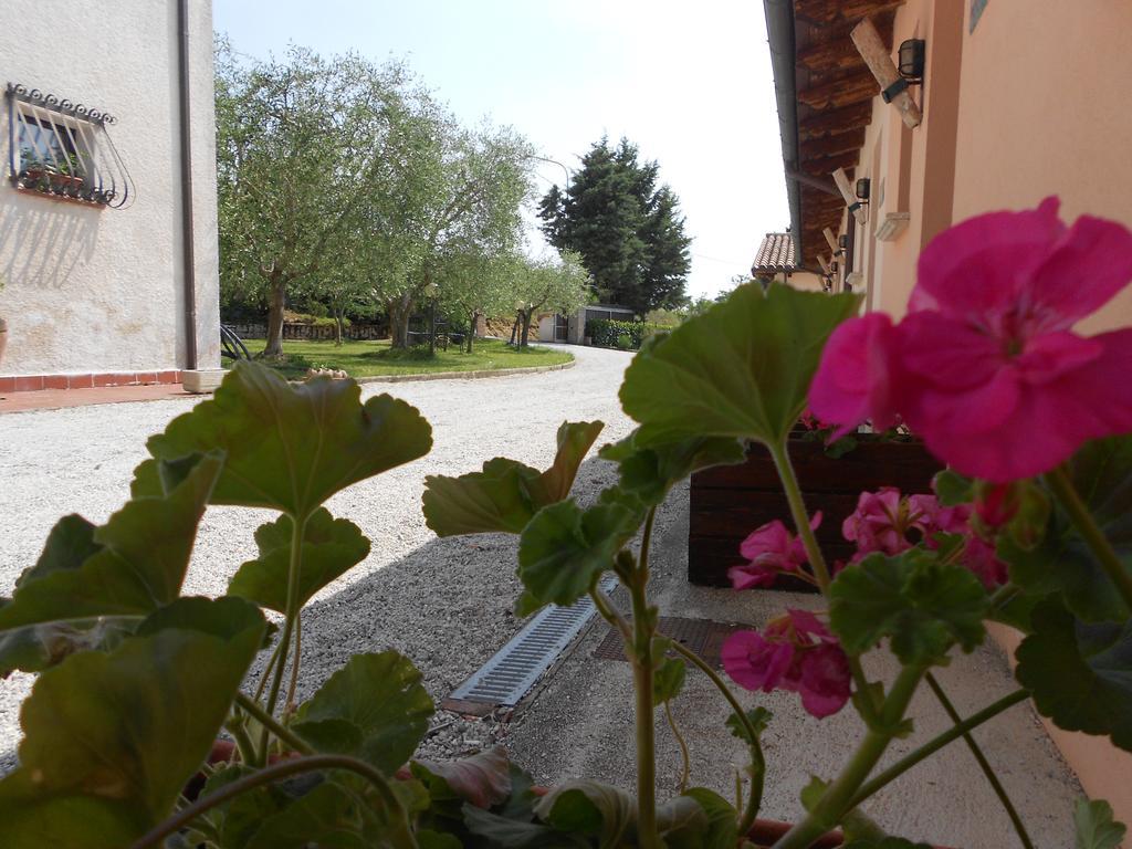 Santa Croce Villa Fossato di Vico Exterior foto